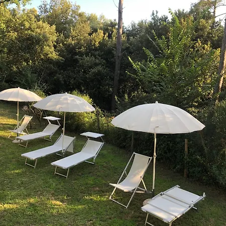 別荘 Casa Nel Bosco Sul Golfo Dei Poeti - Mago *