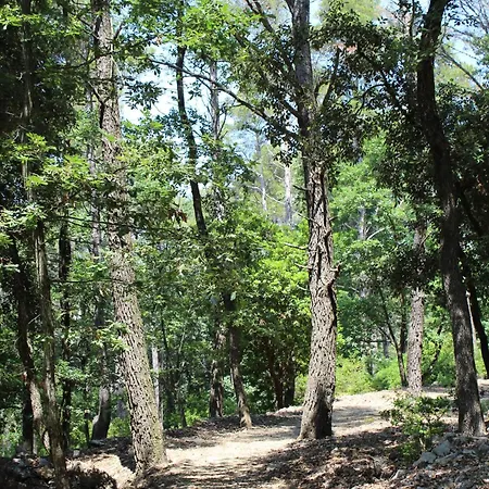 Casa Nel Bosco Sul Golfo Dei Poeti - Mago Hébergement de vacances *
