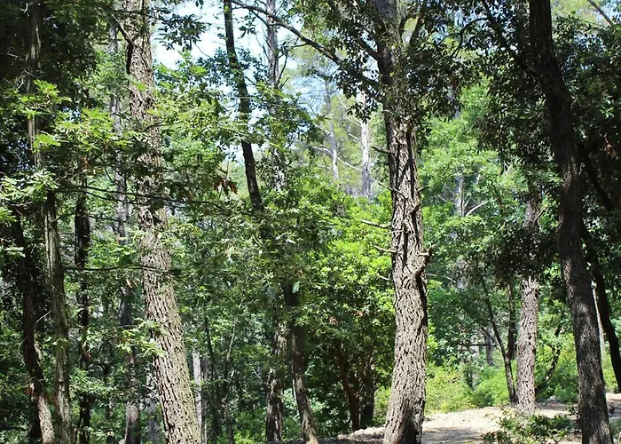 Casa Nel Bosco Sul Golfo Dei Poeti - Mago Ferienhaus *